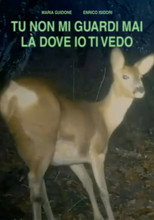 Poster de la película TU NON GUARDI MAI LÀ DOVE IO TI VEDO