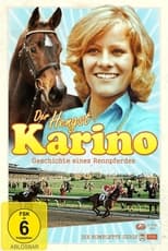 Poster de la película Karino