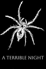 Poster de la película A Terrible Night