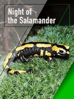 Poster de la película Night of the Salamander
