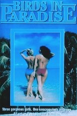 Poster de la película Soft Touch II