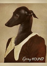 Poster de la película Gray Hound