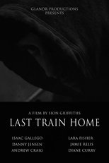 Poster de la película Last Train Home