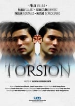 Poster de la película Torsion