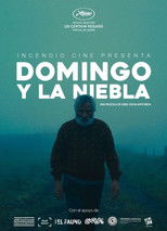 Poster de la película Domingo y la niebla