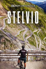 Poster de la película Stelvio
