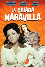 Poster de la película La criada maravilla