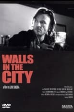 Poster de la película Walls in the City