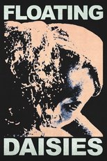 Poster de la película Floating Daisies