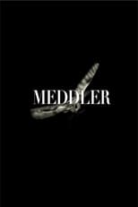 Poster de la película Meddler