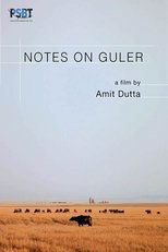 Poster de la película Notes on Guler