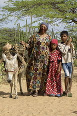 Poster de la película Sūkūjula Tei (Stories of My Mother)