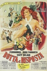 Poster de la película Botta e risposta