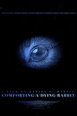 Poster de la película Comforting A Dying Rabbit