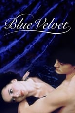 Poster de la película Blue Velvet