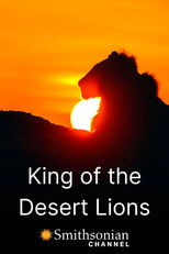 Poster de la película King of the Desert Lions