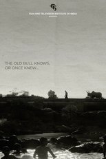 Poster de la película The Old Bull knows, or Once Knew