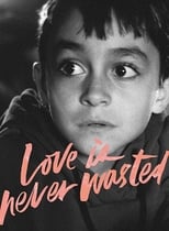 Poster de la película Love Is Never Wasted