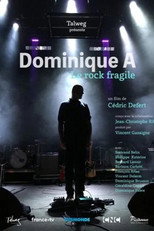 Poster de la película Dominique A, le rock fragile
