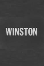 Poster de la película Winston