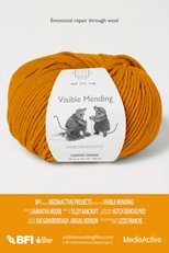 Poster de la película Visible Mending