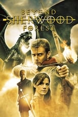 Poster de la película Robin Hood Contra El Dragon