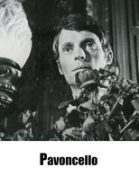 Poster de la película Pavoncello