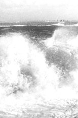 Poster de la película Zee