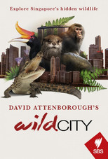 Poster de la serie David Attenborough's Wild City