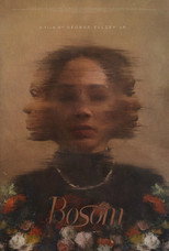 Poster de la película Bosom