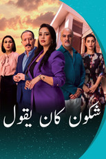 Poster de la serie Who Was Saying