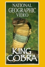 Poster de la película King Cobra