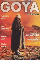 Poster de la película Goya en Burdeos
