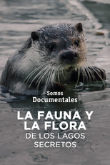 Poster de la película Mecklenburgs geheime Wasserwildnis - Die Feldberger Seen