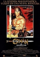 Poster de la película Conan, el destructor