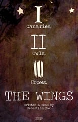 Poster de la película The Wings