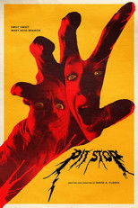 Poster de la película Pit Stop