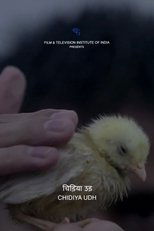 Poster de la película Fly, Bird
