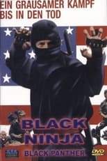 Poster de la película Ninja Death Squad