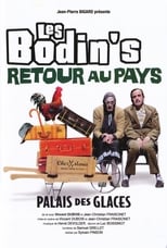 Poster de la película Les Bodin's - Retour au Pays