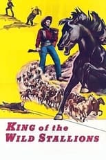 Poster de la película King of the Wild Stallions