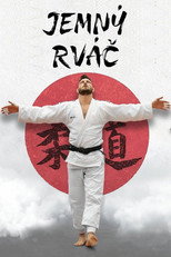 Poster de la película The Gentle Fighter