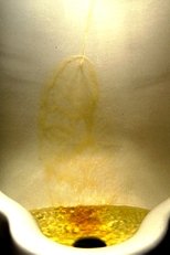Poster de la película Piss