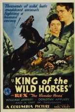 Poster de la película King of the Wild Horses
