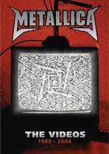 Poster de la película Metallica: The Videos 1989-2004