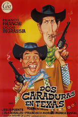 Poster de la película Dos caraduras en Texas