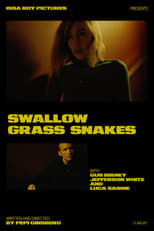 Poster de la película Swallow Grass Snakes