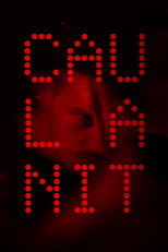 Poster de la película Night Falls