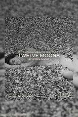 Poster de la película Twelve Moons