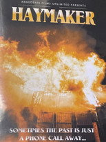 Poster de la película Haymaker